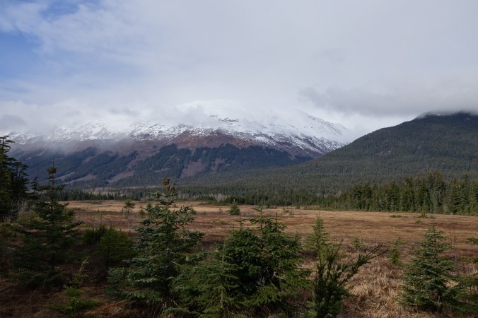 A lovely stroll along the meadows between the Challenge Alaska house and the Alyeska Hotel