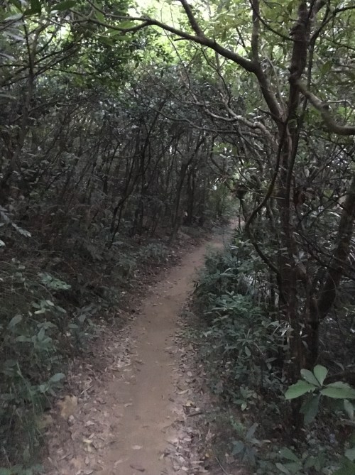 I like the Hobbit village quality to this trail