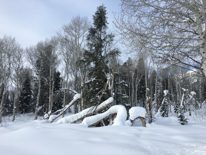 A slightly overcast morning