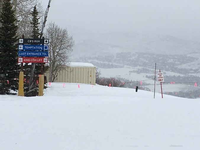 Racing down icy black runs is not exactly my idea of fun