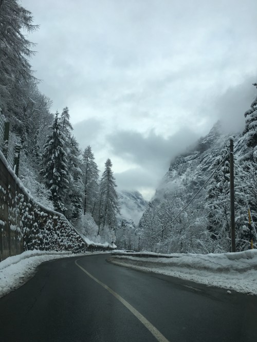 driving-back_beautiful